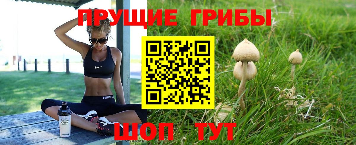 Галлюциногенные грибы мицелий Лабинск